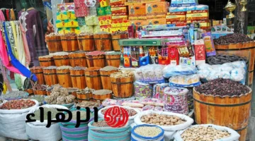 رسميًا.. قرار جديد يسعد أصحاب بطاقات التموين الحكومة تعلن موعد التنفيذ 1